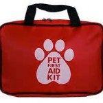 safety for dogs