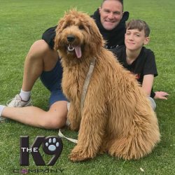 Sunday 19 April 10.00am Beginners only