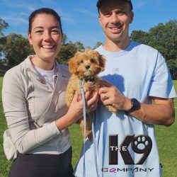 Sunday 19 April 9.00am First Timers and Puppies 8 to 18 weeks.